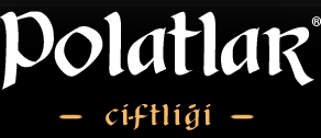 Elegantia Restaurant and Cafe Theme